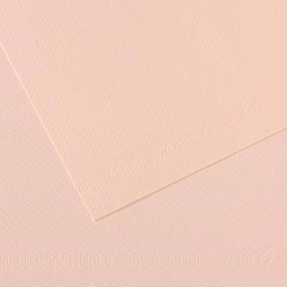 Canson Mi-Teintes Dokulu Fon Kartonu 50x65 cm 160 g 103 Dawn Pink (1Adet)