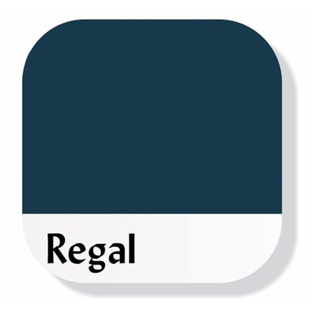 Piktura Akrilik Multisurface Boya 120Ml Regal