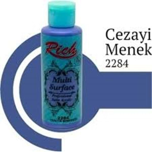 Rich Multi Surface Akrilik Boya 120ml 2284 Cezayir Menekşesi