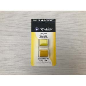 Daler Rowney Aquafine Tablet Sulu Boya 2 li Lemon Yellow / Cadmium Yellow Hue