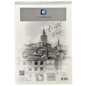 Alex Schoeller A3 210 gr Spiralli Bristol Pad 20 Yp. ALX466