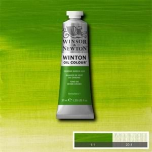 Winsor&Newton Winton Yağlı Boya 37ml Chrome Green Hue 145 (11)