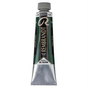 Rembrandt Yağlı Boya 40 ml Seri 1 Terre Verte 629