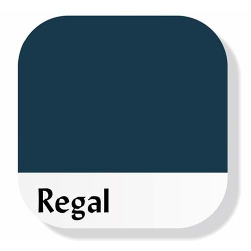 Piktura Akrilik Multisurface Boya 120Ml Regal