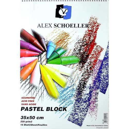 Alex Schoeller Pastel Defteri 220 g 35x50 cm Renkli 15 Yaprak