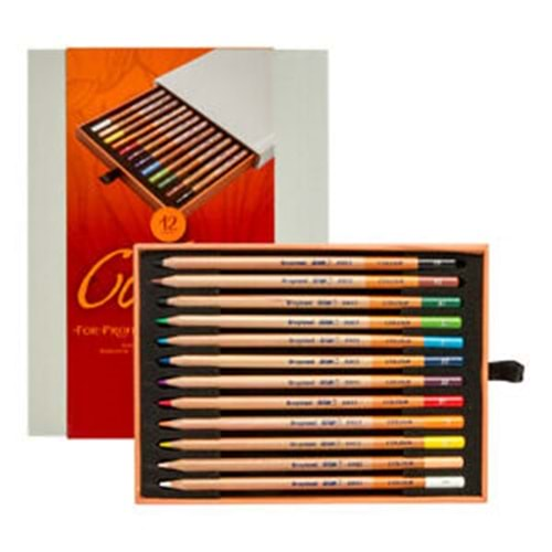 Bruynzeel Desıng Colour Pencil Set Box 12 li