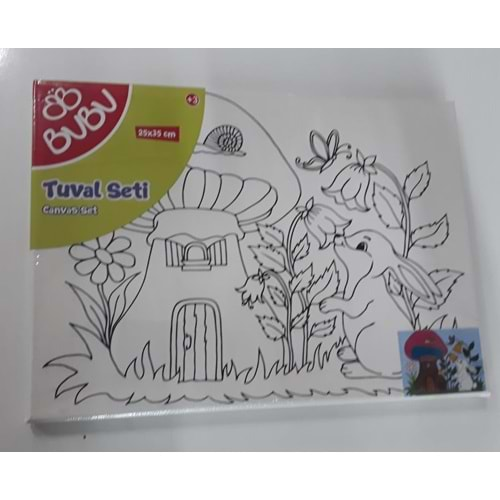 Bubu Baskılı Tuval 25X35